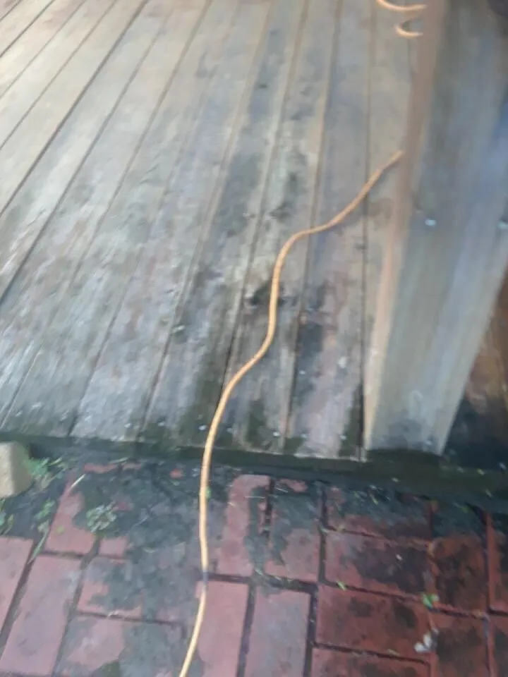 Top-rated garden landscaping in Baytown, TX by Gh Services