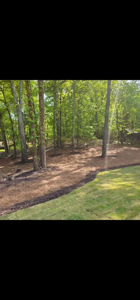 Trusted yard maintenance near you in Norcross, GA by GH Turf & Landscape