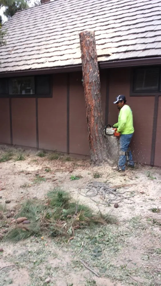 Trusted garden landscaping in Costa Mesa, CA by Ghai's Tree Service