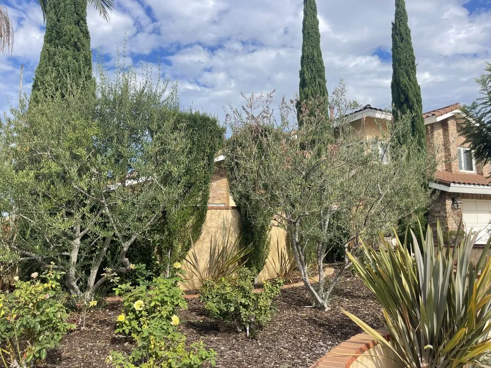 Local garden landscaping in Costa Mesa, CA by Ghai's Tree Service