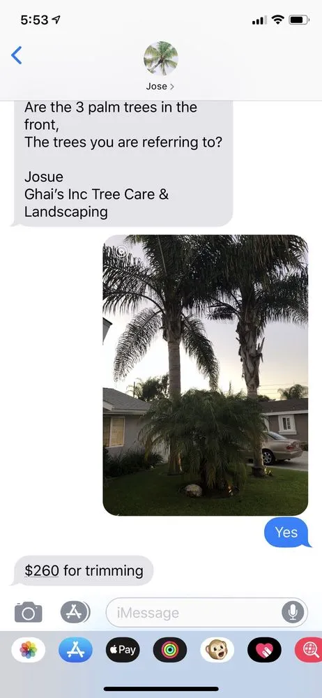 Reliable outdoor landscaping near you in Costa Mesa, CA by Ghai's Tree Service