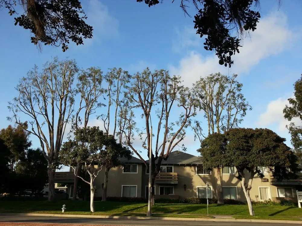 Custom residential landscaping for homes in Costa Mesa, CA by Ghai's Tree Service