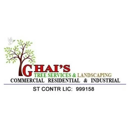 Local outdoor landscaping for homes across Costa Mesa, CA - Ghai's Tree Service