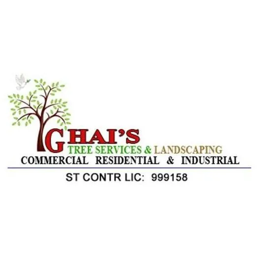 Top-rated residential landscaping for outdoor upgrades across Costa Mesa, CA - Ghai's Tree Service