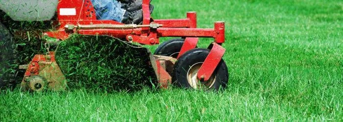 Custom outdoor landscaping for homes in Douglasville, GA by GHE Mowing & Lawn Services