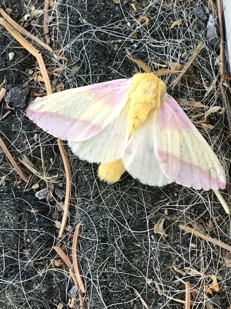 Custom lawn care service for year-round maintenance across Ghent, NY - Ghent Landscape