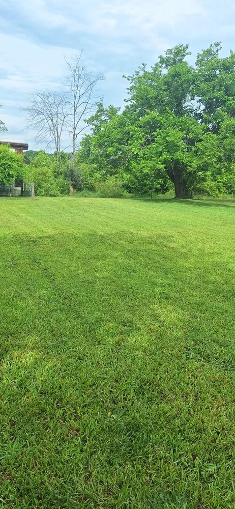 Custom yard cleanup service for year-round maintenance across Lancaster, SC - Ghent Lawncare and Landscape