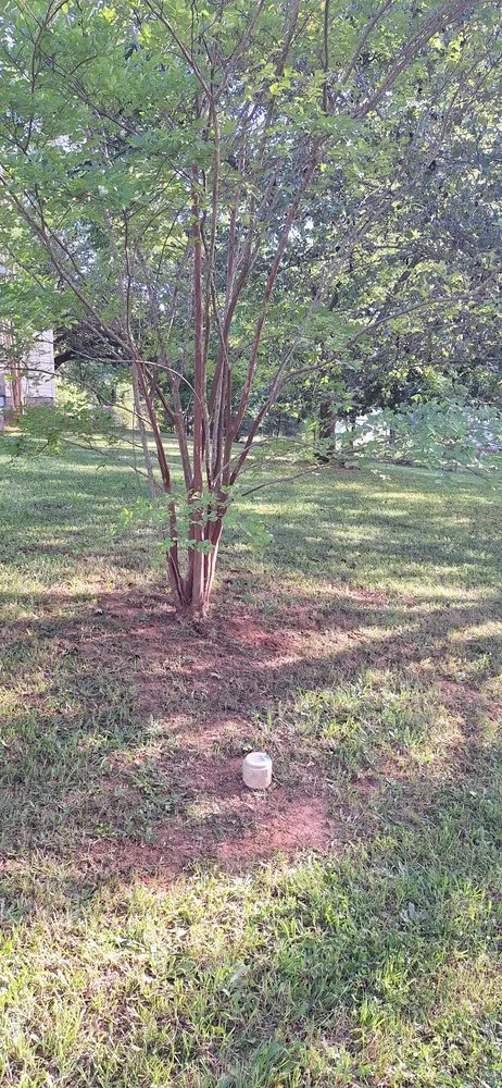 Affordable outdoor landscaping in Lancaster, SC by Ghent Lawncare and Landscape