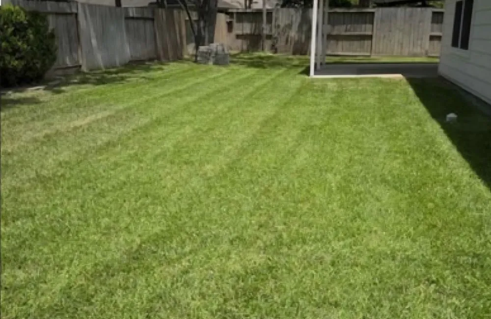 Top-rated residential landscaping experts serving Ridgeway, SC - Ghetty Green Lawn and Home Services