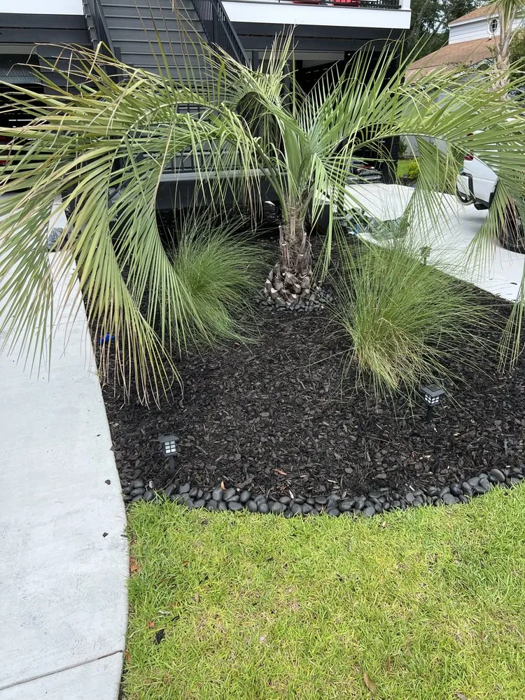 Affordable lawn care service in Carolina Forest, SC by Ghost Pools & Landscaping