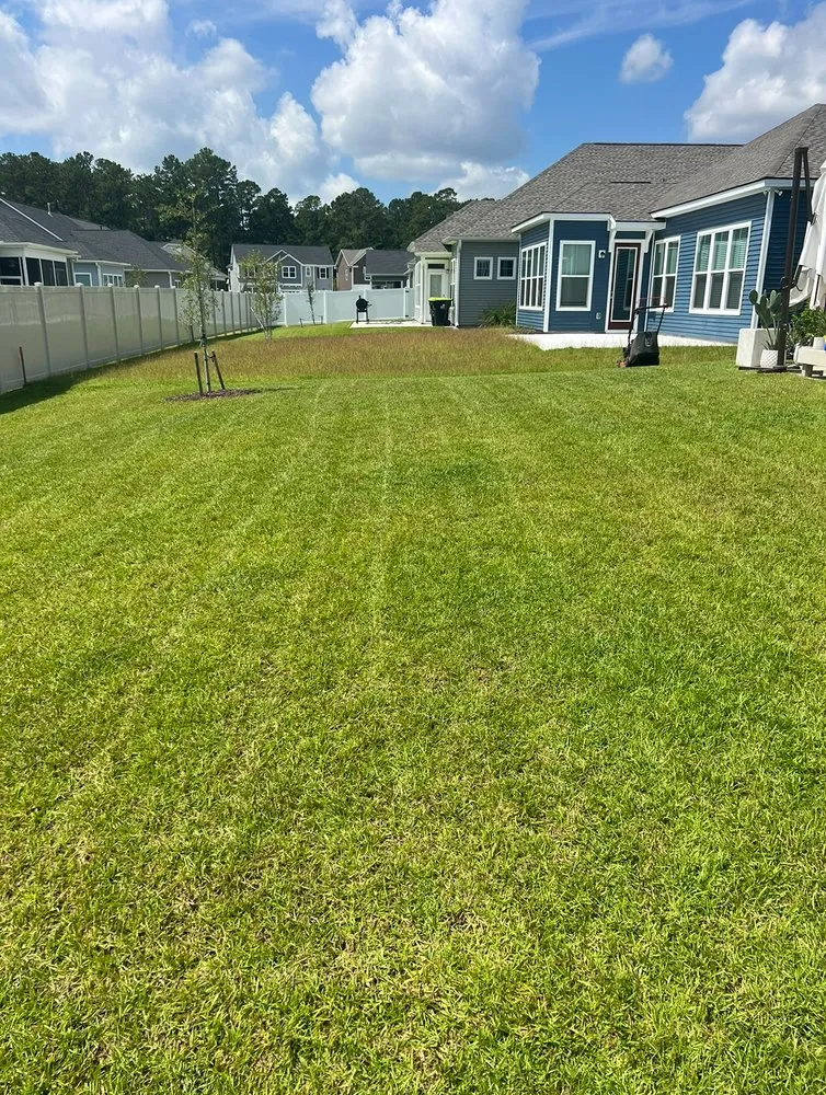 Reliable landscaping services in Carolina Forest, SC - Ghost Pools & Landscaping