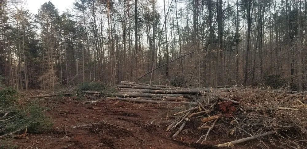 Top-rated yard cleanup service in Indian Trail, NC by GHT Landscape