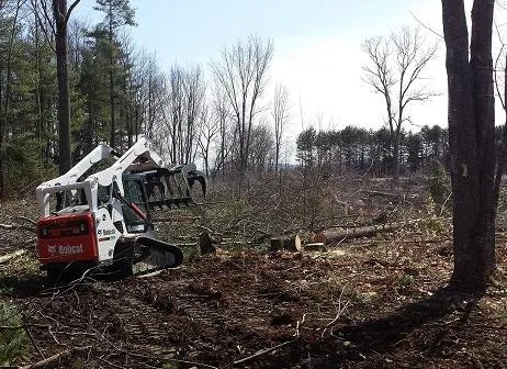 Affordable residential landscaping for year-round maintenance across Indian Trail, NC - GHT Landscape