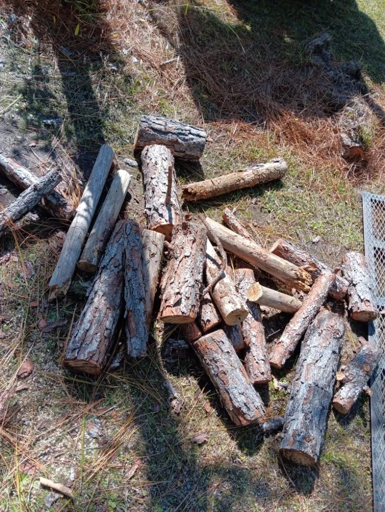 Trusted landscaping services experts serving Nahunta, GA - G.I Budget Blades