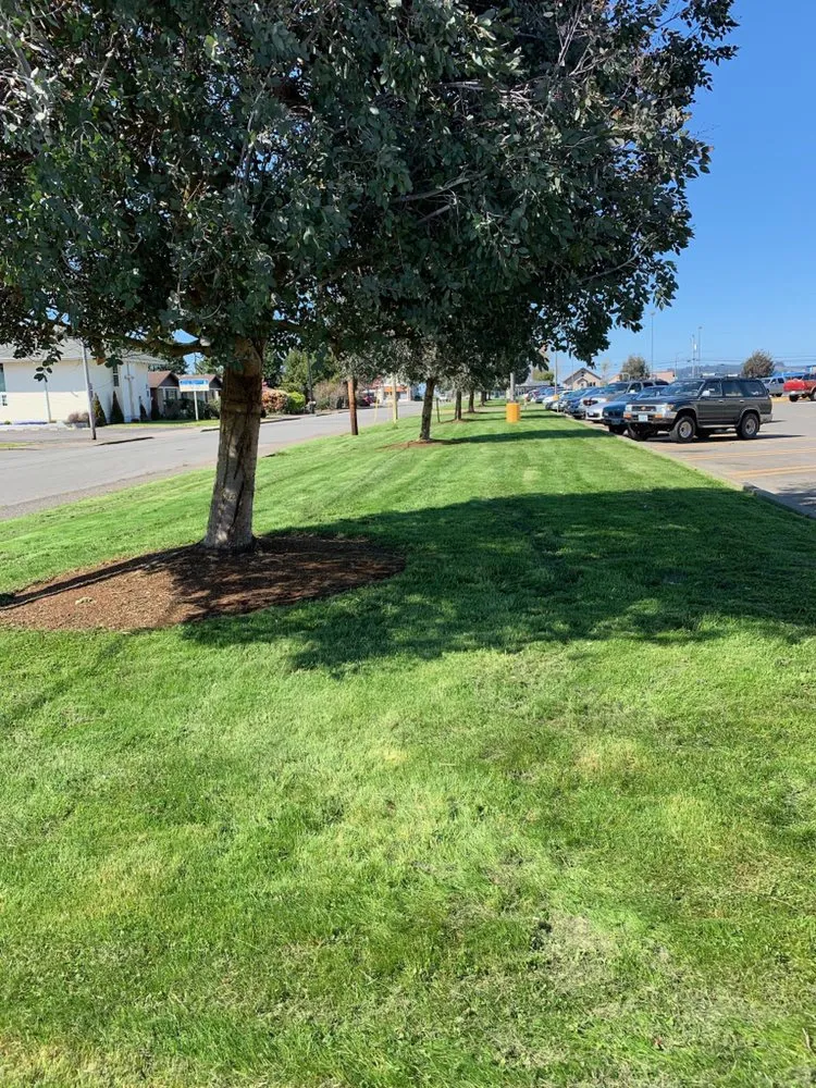Affordable landscape installation for outdoor upgrades in Salem, OR by GI Landscape Maintenance