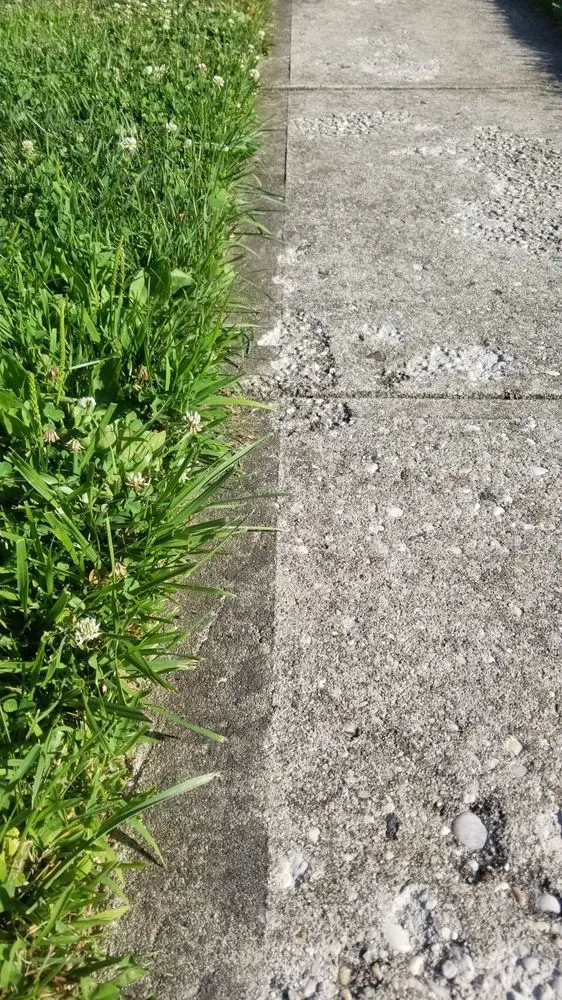 Top-rated garden landscaping in Lindenhurst, NY - Giannini Landscaping