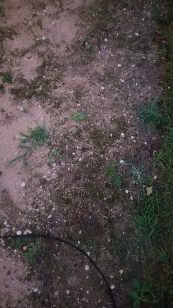 Professional landscape installation for outdoor upgrades in Lindenhurst, NY by Giannini Landscaping