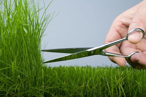 Affordable outdoor landscaping in Waynetown, IN - Giant Green Thumb Services