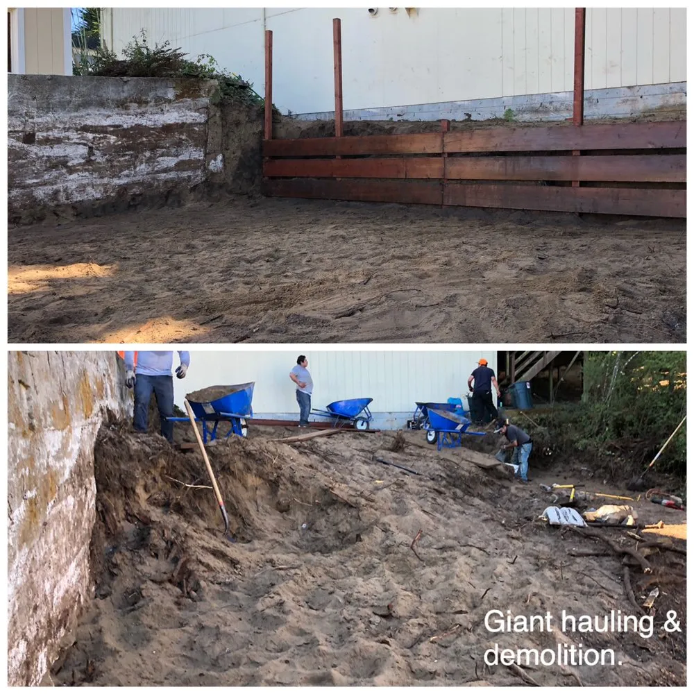 Custom yard cleanup service for residential properties in San Francisco, CA by Giant Hauling & Demolition