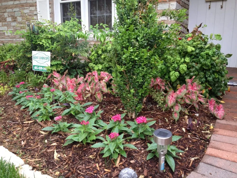 Expert garden landscaping in Edmond, OK by Giant Landscape