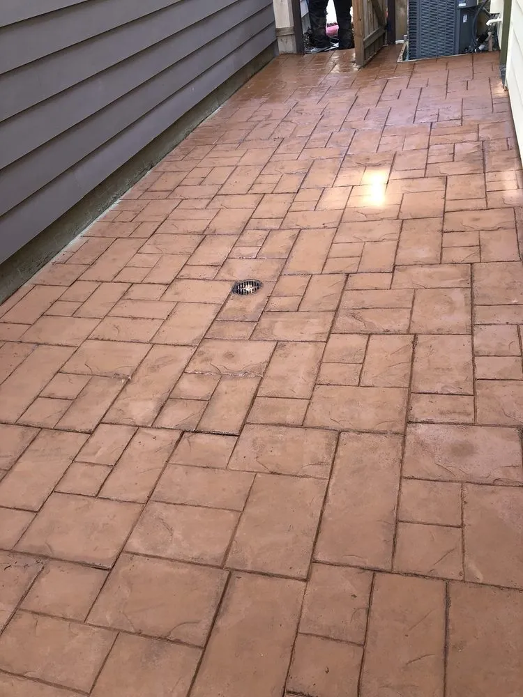 Professional lawn care service for beautiful yards in San Francisco, CA by Giant Landscaping