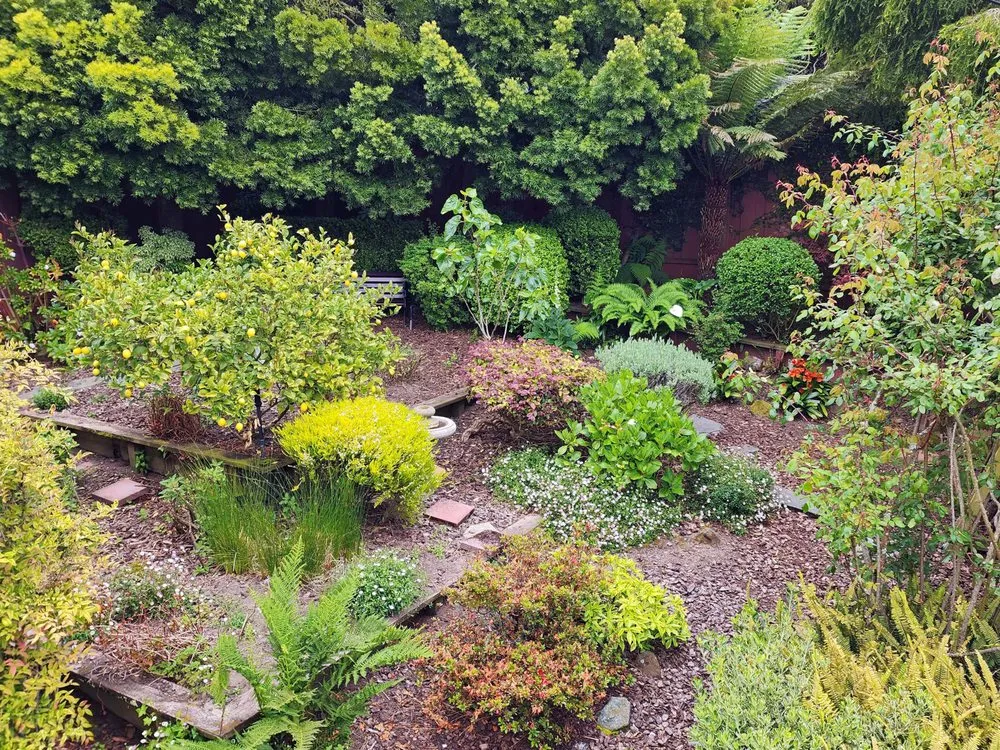 Affordable residential landscaping with custom design in San Francisco, CA by Giant Landscaping