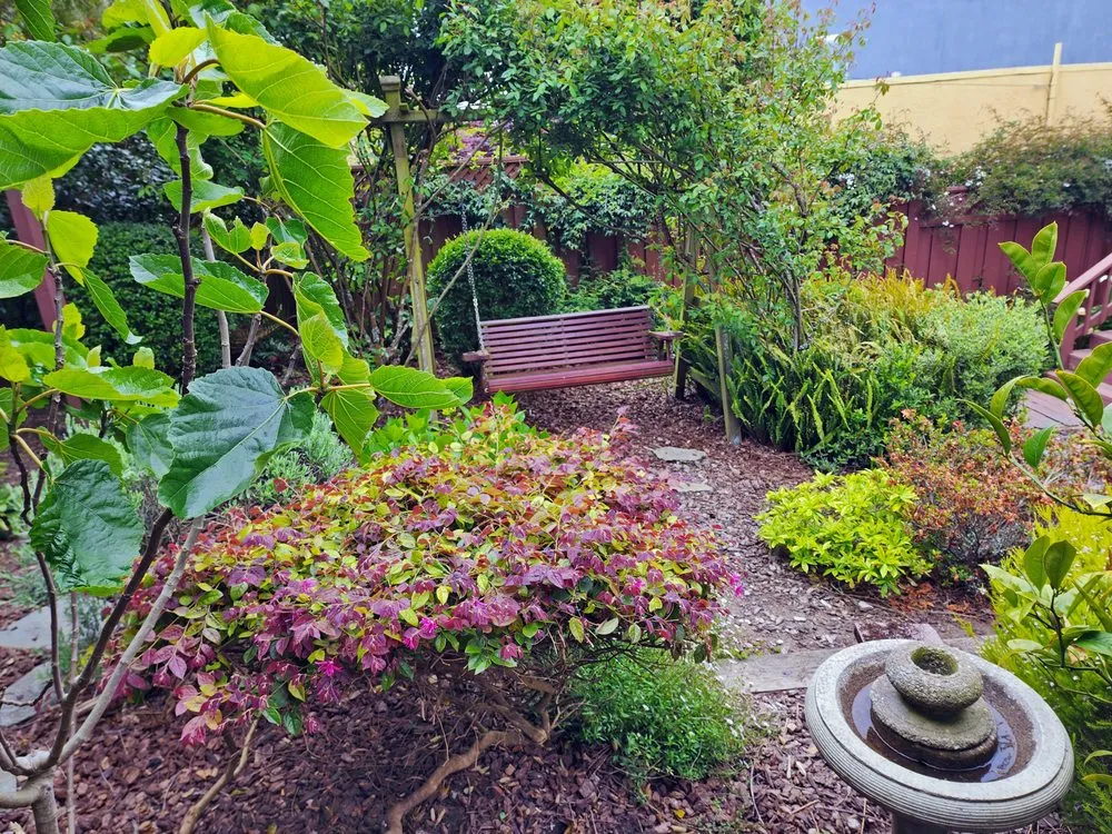 Local landscaping services in San Francisco, CA - Giant Landscaping