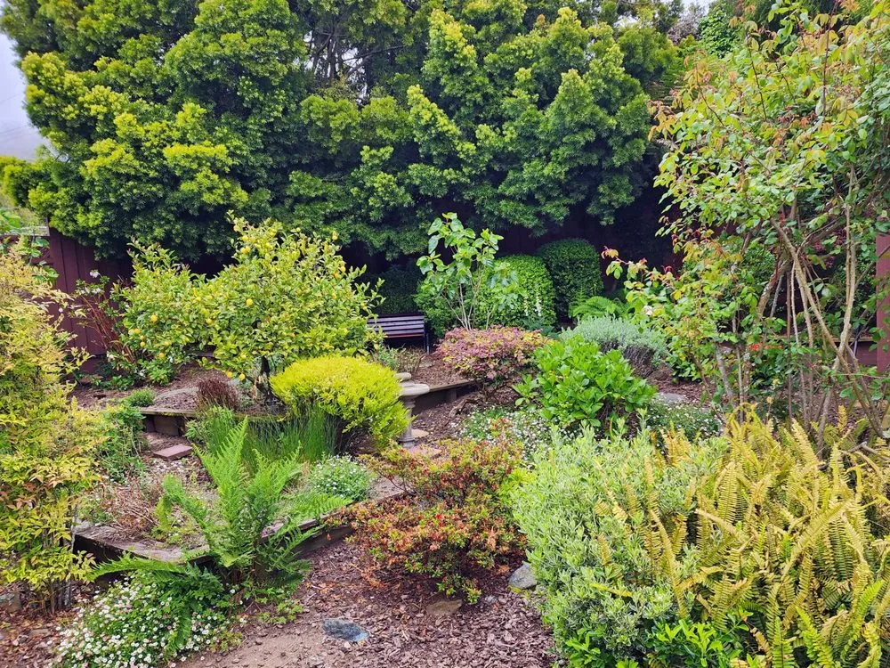 Professional yard maintenance near you in San Francisco, CA by Giant Landscaping