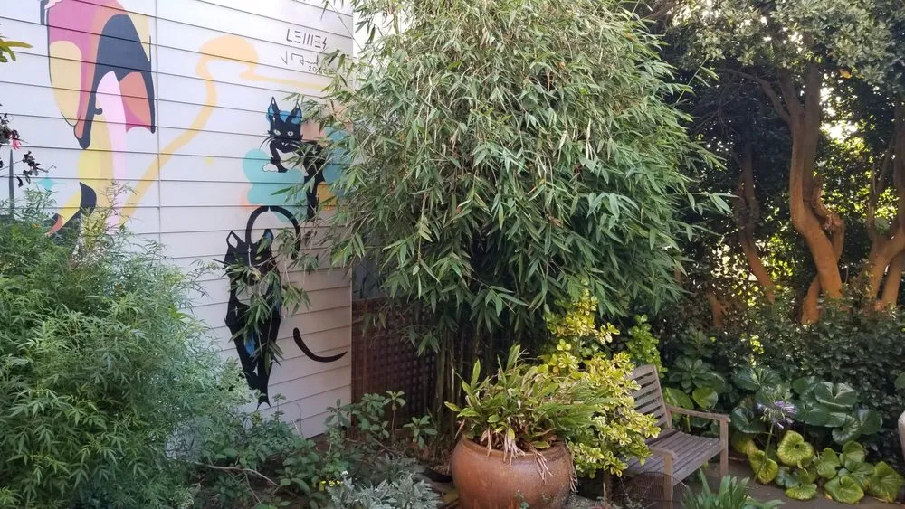 Expert garden landscaping experts serving San Francisco, CA - Giant Landscaping