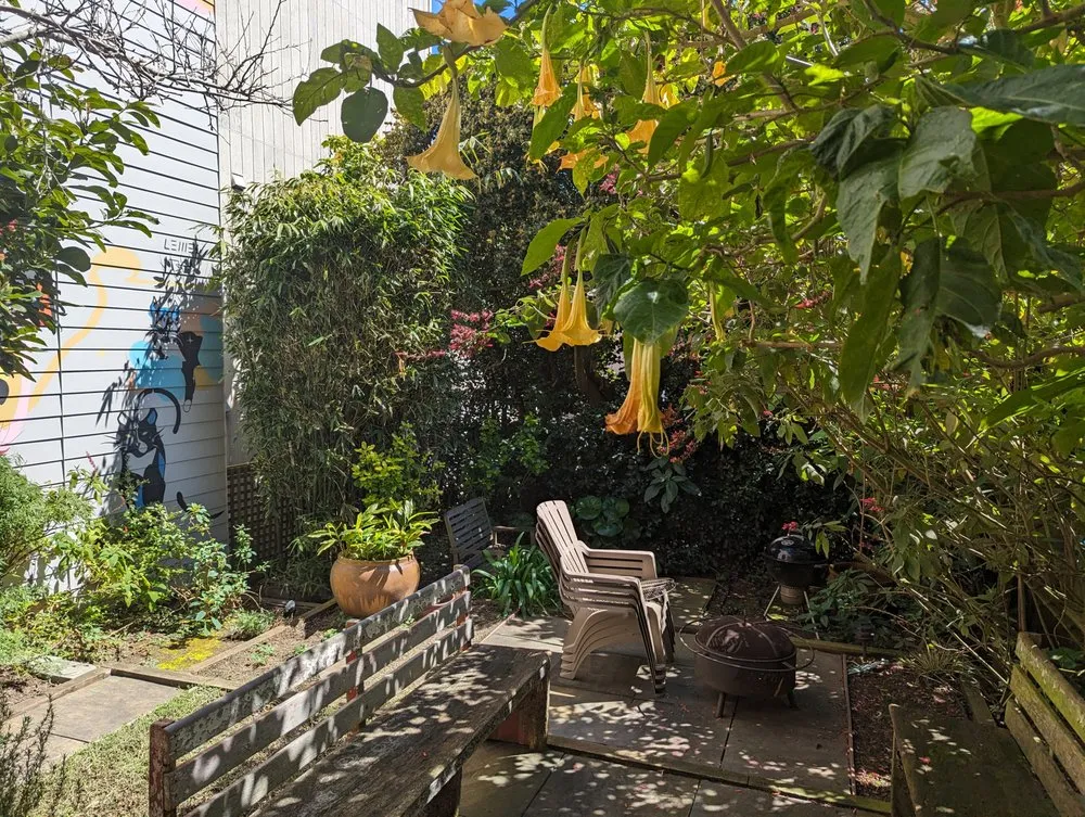 Custom lawn care service in San Francisco, CA - Giant Landscaping