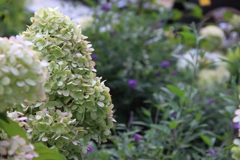 Affordable garden landscaping with custom design in Manchester, NH by Giant Landscaping Services