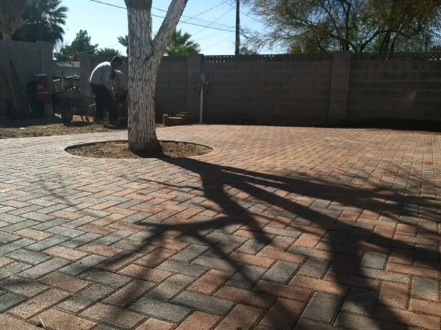 Local landscape installation in Fountain Hills, AZ - Giardinello Landscape & Design