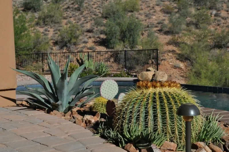 Reliable lawn care service in Fountain Hills, AZ by Giardinello Landscape & Design