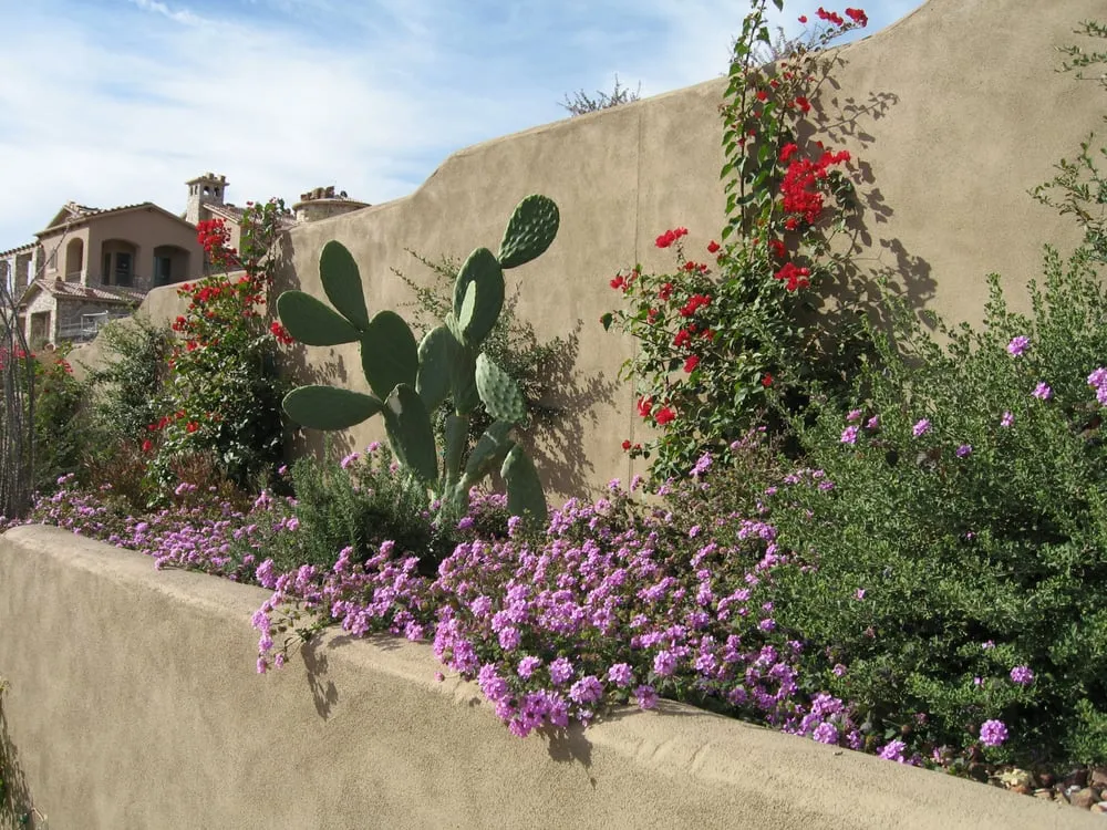Trusted landscaping services experts serving Fountain Hills, AZ - Giardinello Landscape & Design