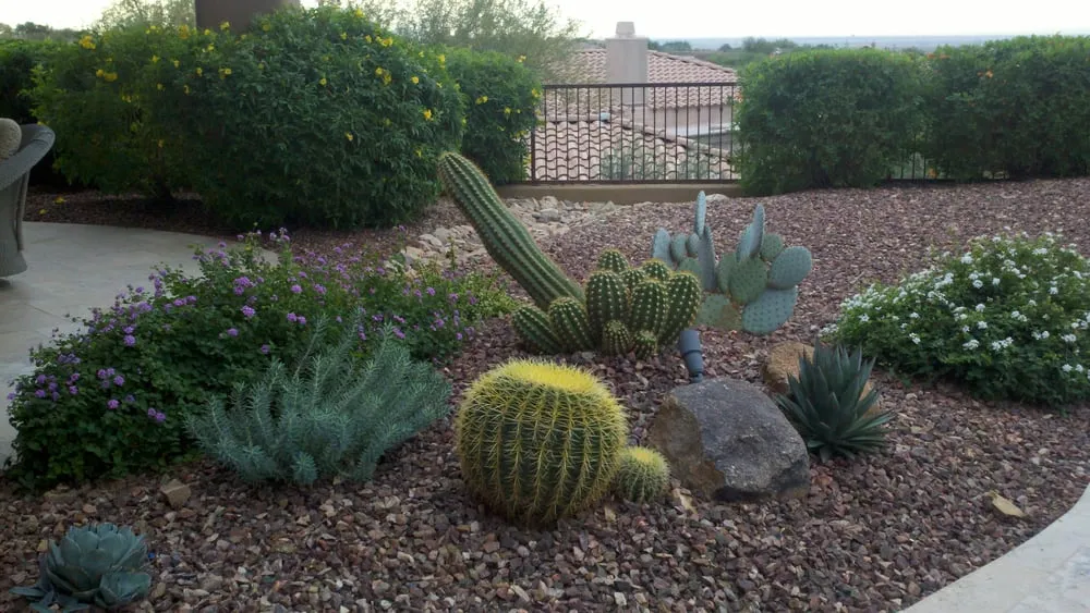 Trusted landscaping services in Fountain Hills, AZ by Giardinello Landscape & Design