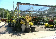 Expert lawn care service with custom design in Memphis, TN by Giarolis Nursery Landscaping