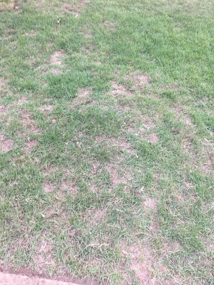 Trusted landscape design for residential properties across Memphis, TN - Giarolis Nursery Landscaping