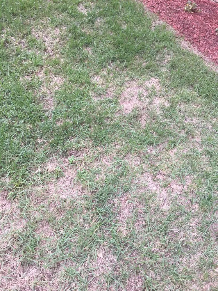 Expert residential landscaping for residential properties in Memphis, TN by Giarolis Nursery Landscaping