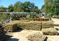 Custom lawn mowing service in Memphis, TN by Giarolis Nursery Landscaping