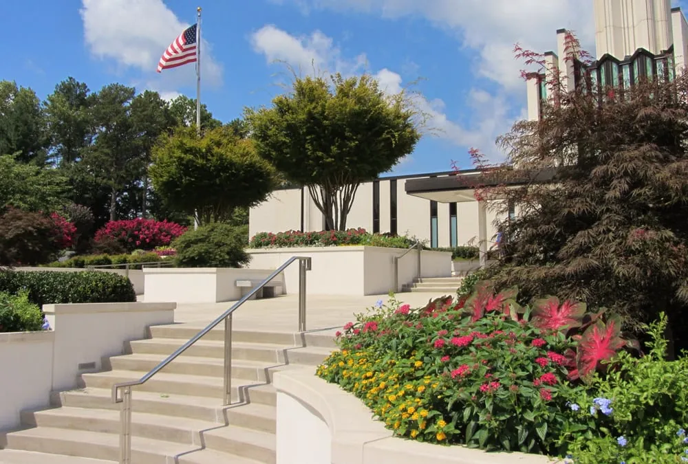Local yard cleanup service in Smyrna, GA by Gibbs Landscape Company