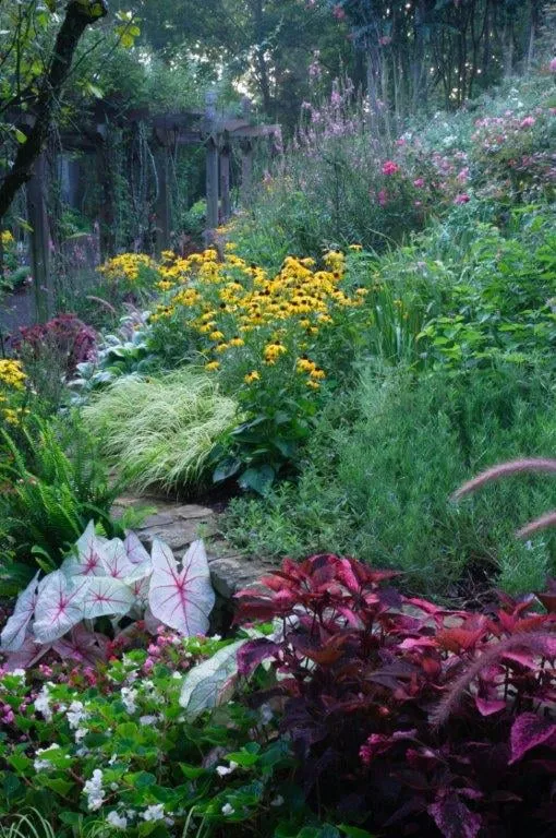 Custom outdoor landscaping experts serving Smyrna, GA - Gibbs Landscape Company