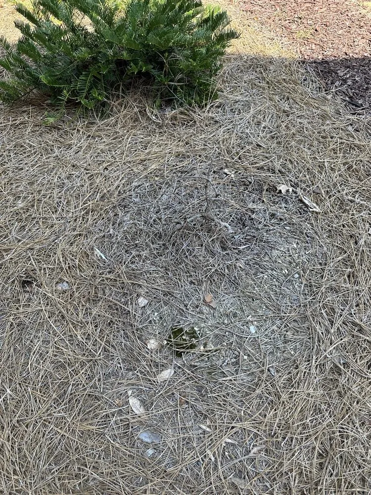 Custom yard cleanup service near you across Smyrna, GA - Gibbs Landscape Company