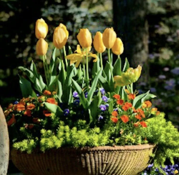 Reliable outdoor landscaping for year-round maintenance across Smyrna, GA - Gibbs Landscape Company