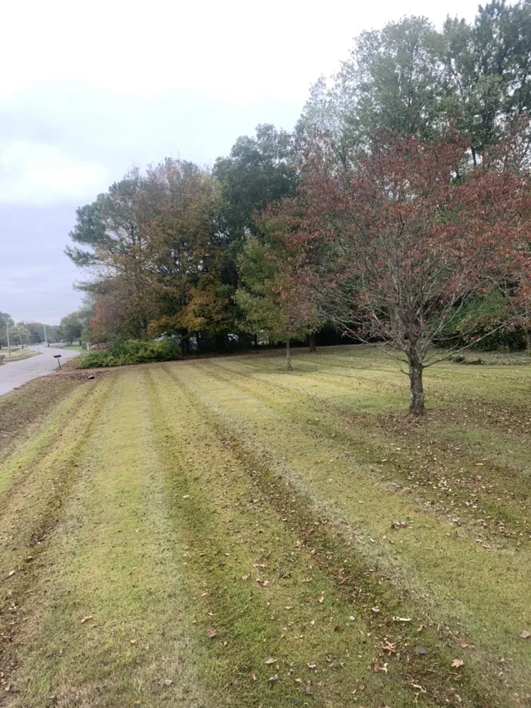 Professional landscape installation near you across Murfreesboro, TN - Gibbs Lawn and Landscape