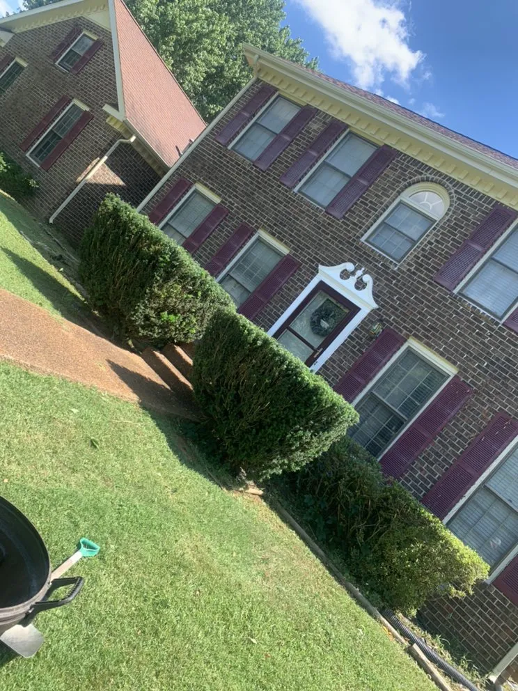 Expert yard maintenance near you in Murfreesboro, TN by Gibbs Lawn and Landscape