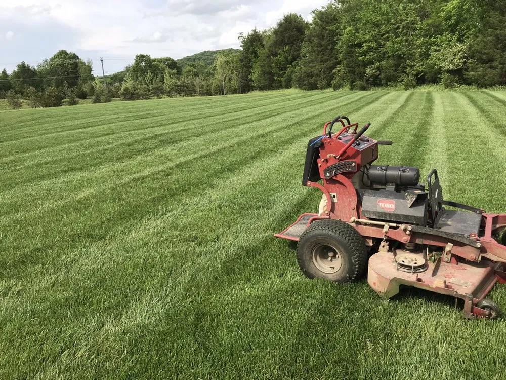 Professional yard cleanup service for year-round maintenance across Murfreesboro, TN - Gibbs Lawn and Landscape