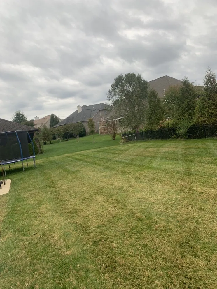 Custom yard cleanup service in Murfreesboro, TN by Gibbs Lawn and Landscape