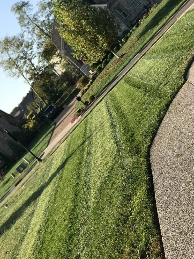 Local landscape installation experts serving Murfreesboro, TN - Gibbs Lawn and Landscape