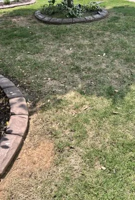 Gibbs Lawn and Landscape Logo