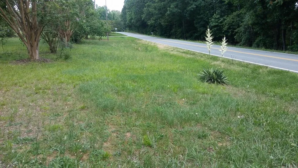 Custom lawn care service in Danville, VA by Gibbs Lawn Care and Landscaping